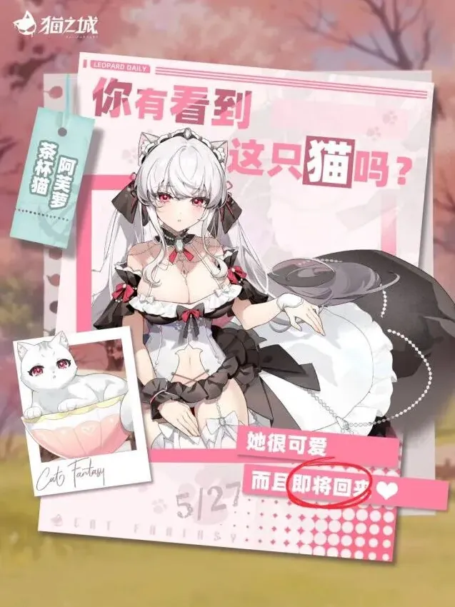 《猫之城》阿芙萝活动召唤玩法攻略