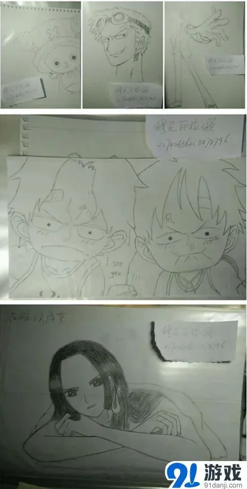 航海王获奖作品