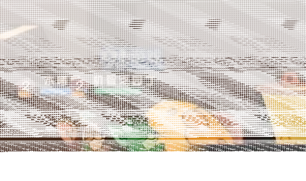 猫和老鼠讲解