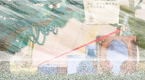 纸片少女攻略