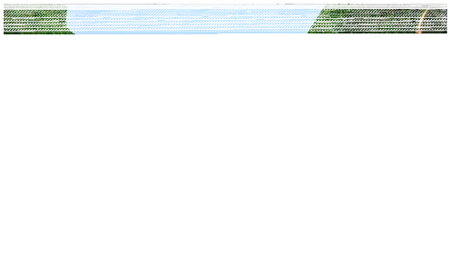 迷你世界出生地