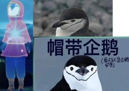 光遇兑换
