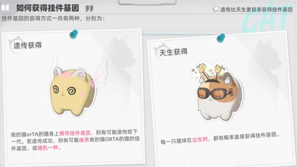 猫之城基因挂件解锁方法分享