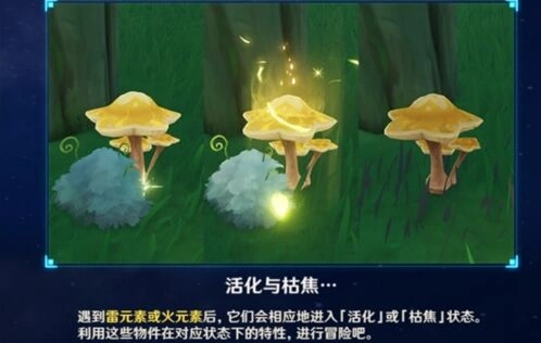 原神枯萎的星蕈获取技巧指南