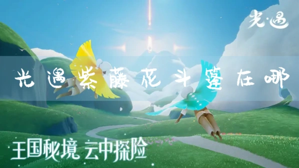 光遇紫藤花