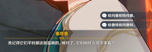 原神两只猫叫什么名字 选项教程
