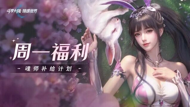 斗罗大陆魂师补给