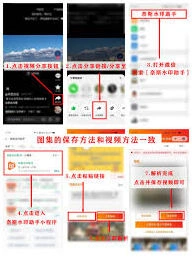 《微信》软件抖音链接复制操作