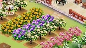 我的花园山茶花养护常见问题解答
