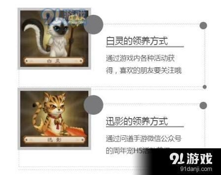 问道周年宠迅影领取方法技巧