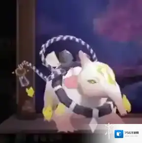 阴阳师活动