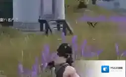 荒野行动薰衣草田地图玩法 薰衣草田地图怎么打