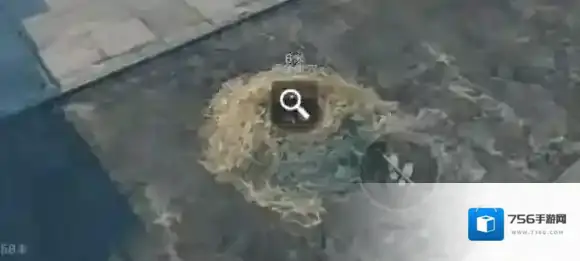 三角洲行动三角洲