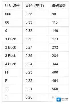 暗区突围独头弹