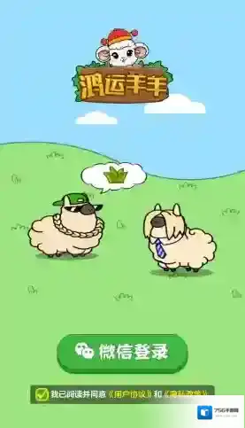 鸿运羊羊玩家