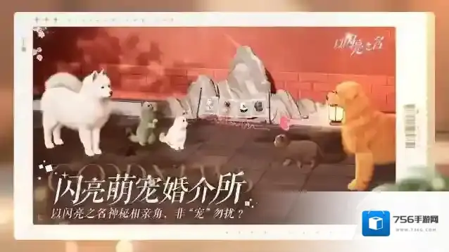 以闪亮之名  各位家长们，又到了万物复苏，毛球们谈恋爱的季节……