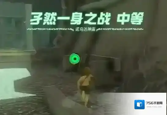 塞尔达传说王国之泪就能