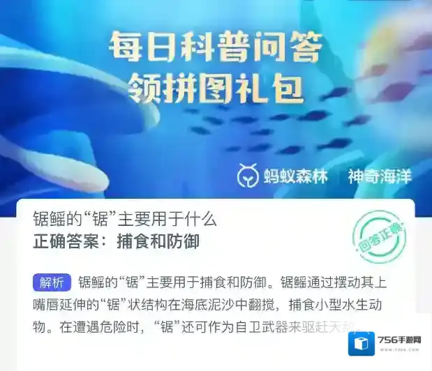 支付宝主要用于