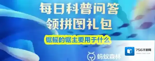锯鳐的锯主要用于什么