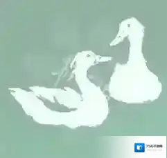 完蛋我被美女包围了2筱筱