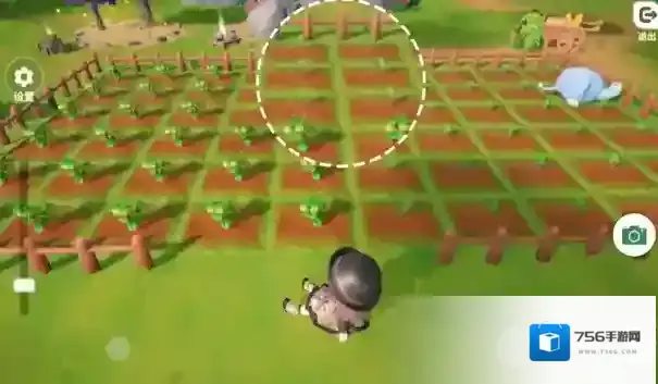 米姆米姆哈生物