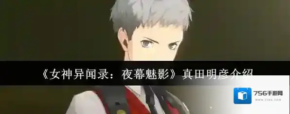 女神异闻录:夜幕魅影执念