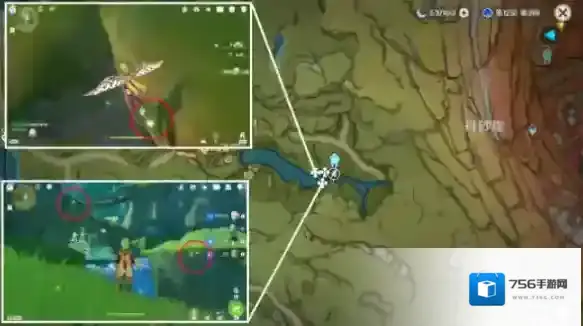 原神劫波莲采集路线怎么走 原神劫波莲采集路线位置