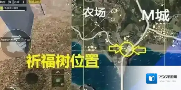 刺激战场最小的树在哪 刺激战场最小的树位置介绍