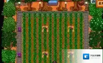 星露谷物语小桶