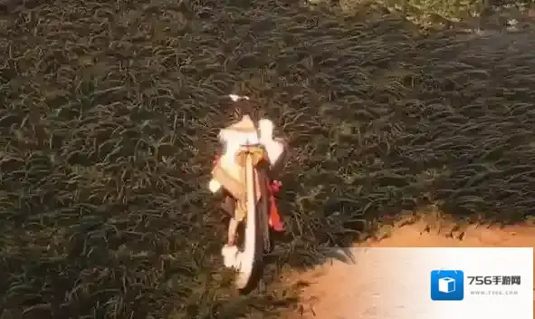 燕云十六声双剑流怎么玩 燕云十六声双剑流玩法介绍