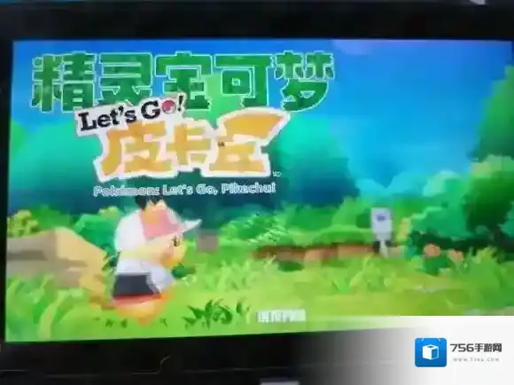 精灵宝可梦LetsGo皮卡丘伊布皮卡丘伊布