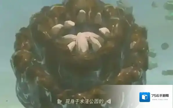 塞尔达传说王国之泪希多