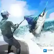 钓鱼锦标赛官方最新版-v1.38