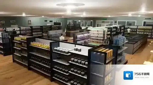 城市商店模拟器城市