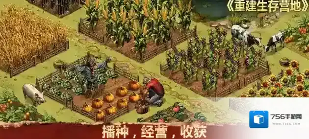 重建生存营地探索