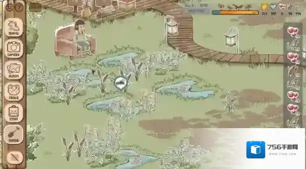 青蛙庇护所家具