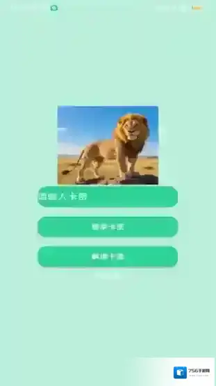 狮子王直装直装