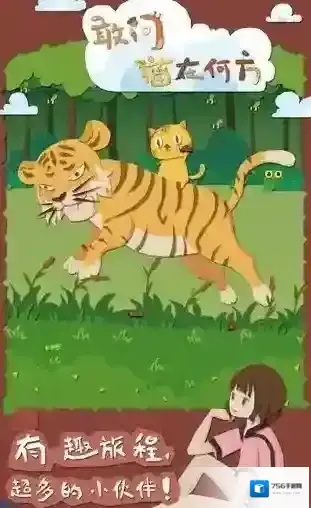 敢问猫在何方信息