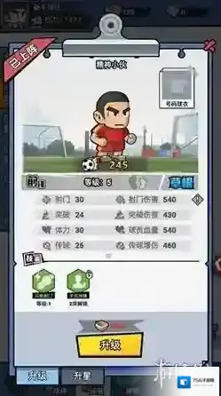 足球大人物球迷