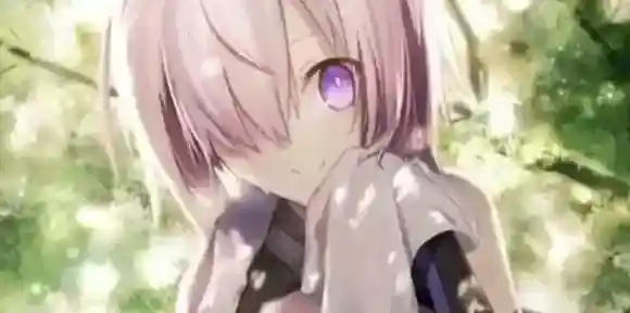 FGO180级有什么用-FGO御主180级COST提升