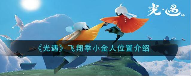 光遇小鸟