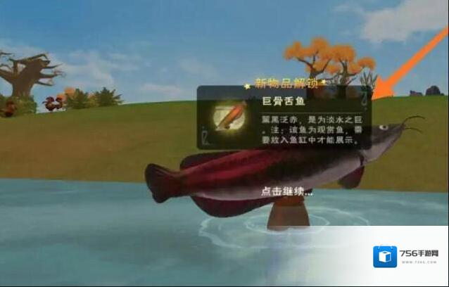 创造与魔法观赏鱼怎么获得 观赏鱼钓取地点