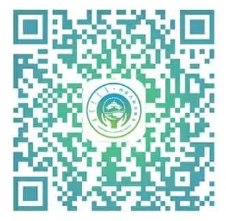 蒙速办立即登录