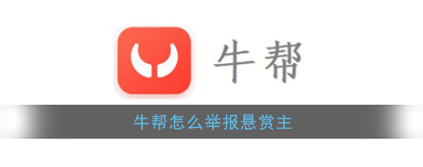 牛帮界面