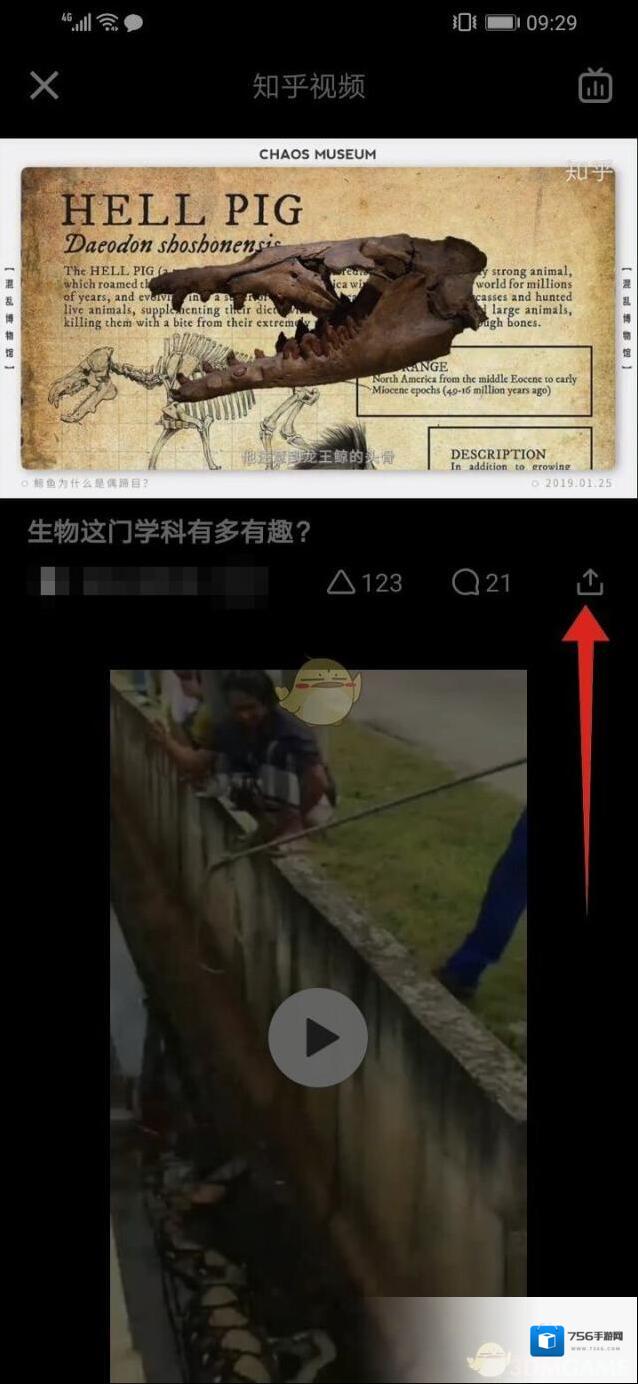 知乎视频