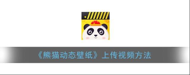 熊猫动态壁纸熊猫