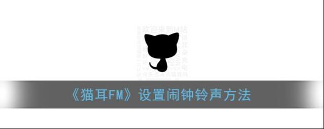 猫耳FM闹钟铃声