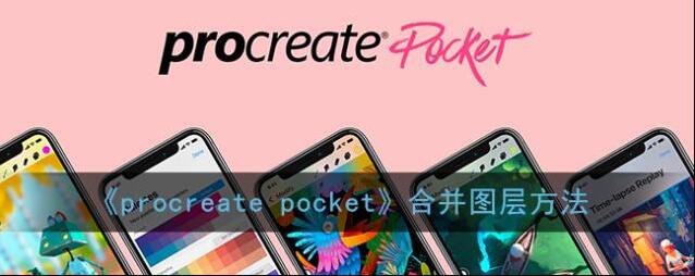Procreate Pocket图层