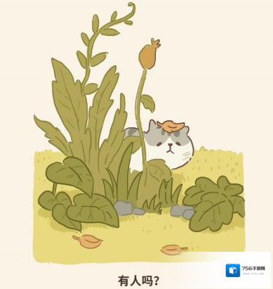 微信动物餐厅巧克力拉布拉多来访条件是什么 巧克力拉布拉多来访条件介绍