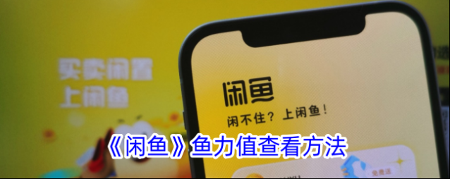 闲鱼鱼力值